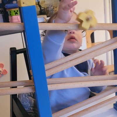 Holzmurmelbahn Holzmurmelbahn